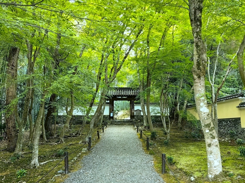 京都-衣笠山地藏院 (竹寺)